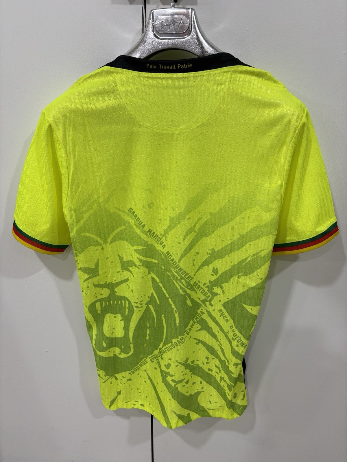Maillot Des Lions Indomptables Du Cameroun 2025
