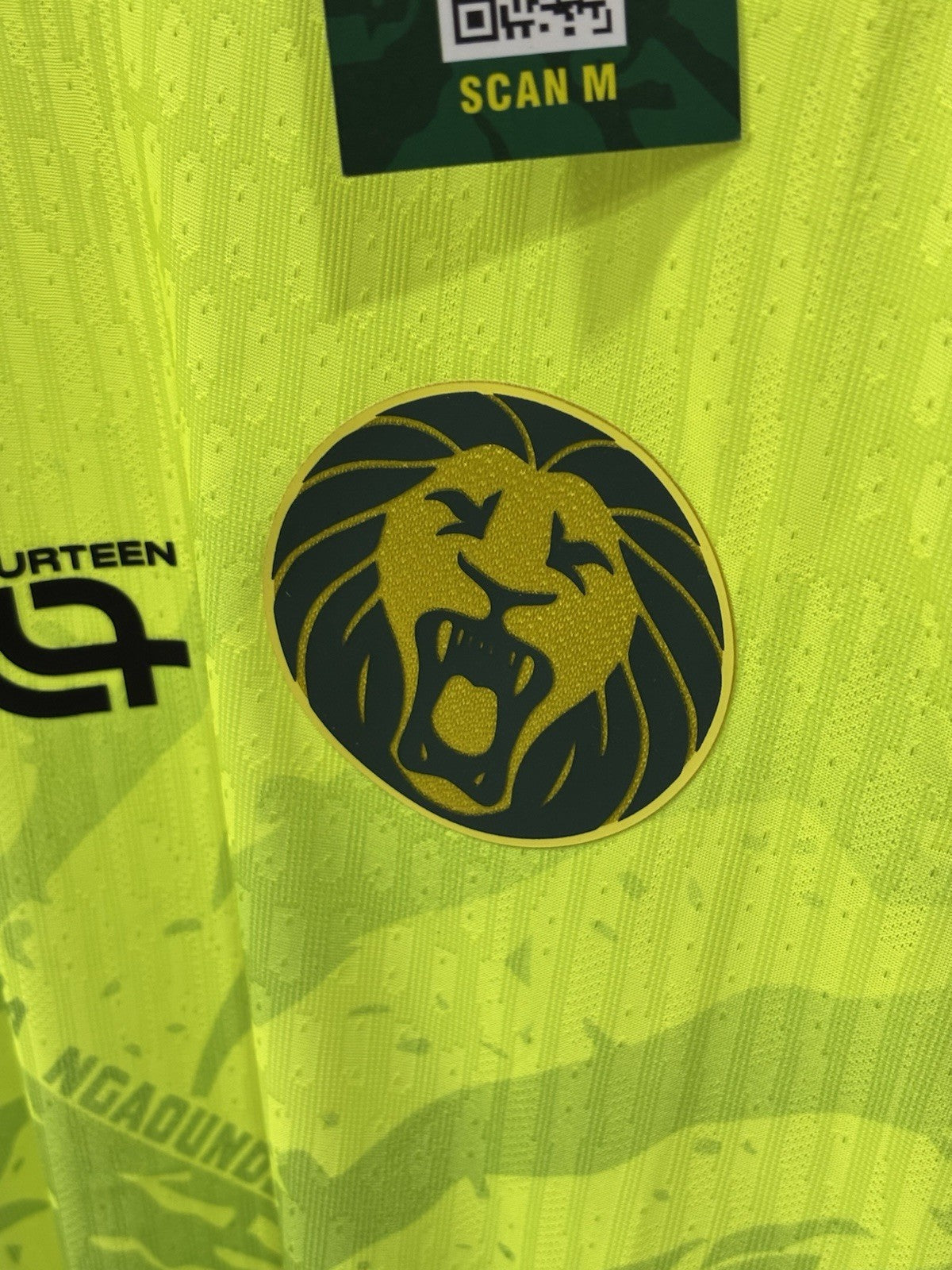 Maillot Des Lions Indomptables Du Cameroun 2025